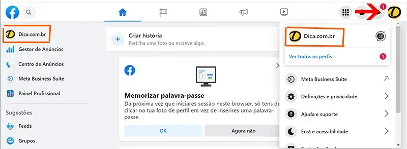 PASSO 1: Selecionar perfil